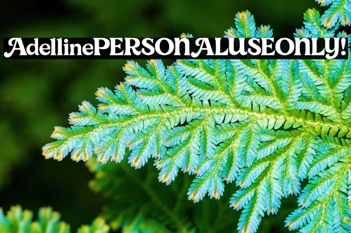 Adelline PERSONAL USE ONLY! Example 2