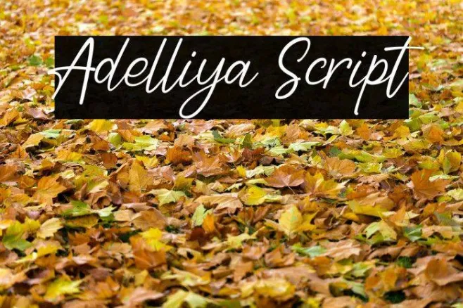Adelliya Script Example 1