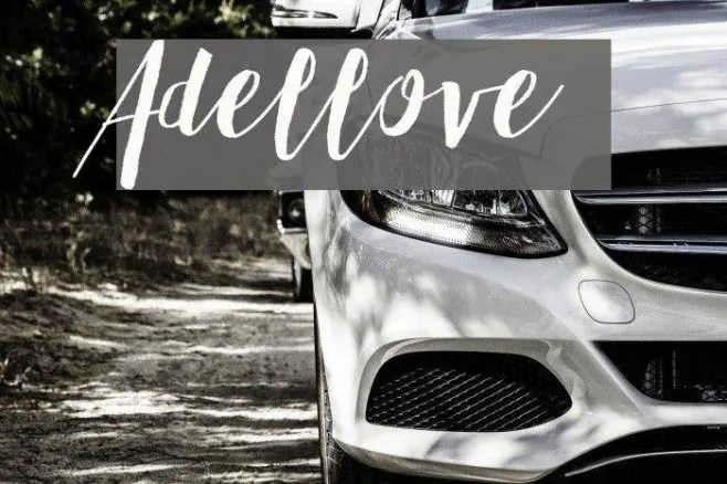 Adellove Example 2