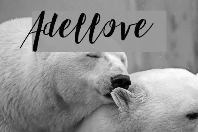 Adellove Example 3