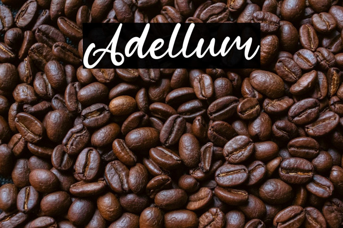 Adellum Example 1