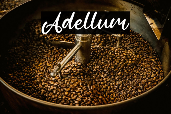 Adellum Example 3