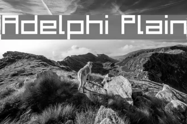 Adelphi Plain Font examples
