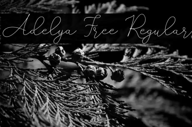 Adelya Free Regular Font examples