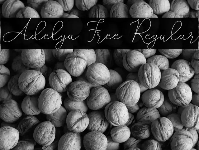 Adelya Free Regular Font examples