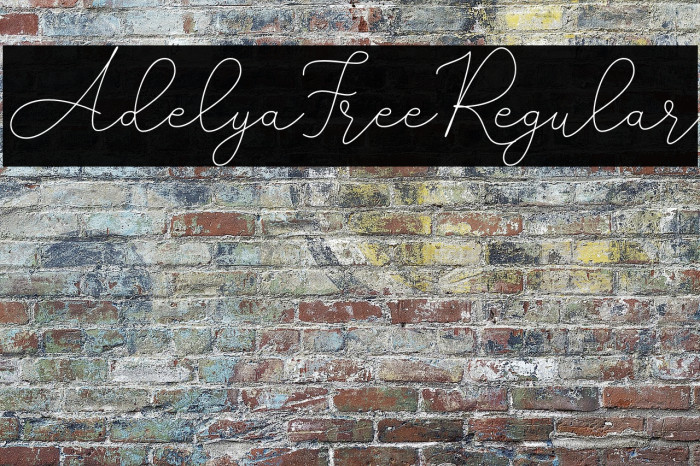 AdelyaFree-Regular Example 1