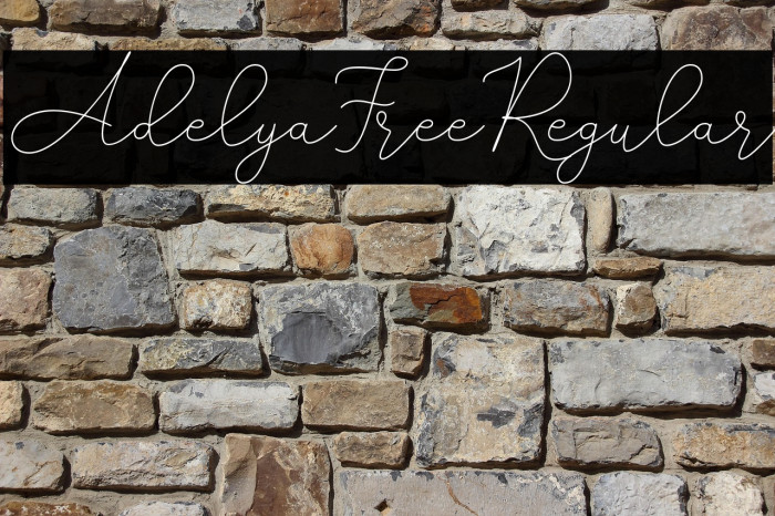 AdelyaFree-Regular Example 2