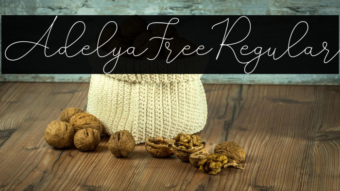 AdelyaFree-Regular Example 3