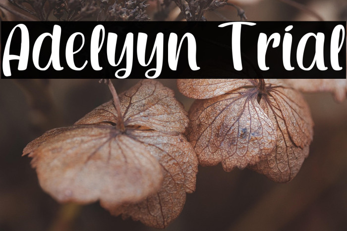 Adelyyn Trial Example 2