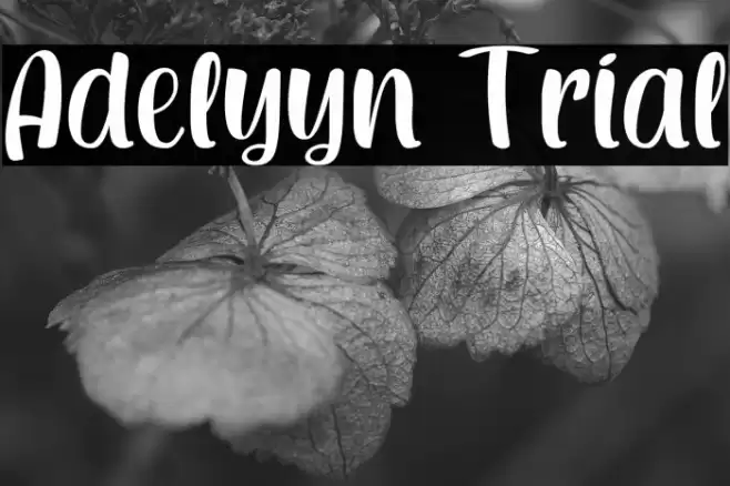 Adelyyn Trial Font examples