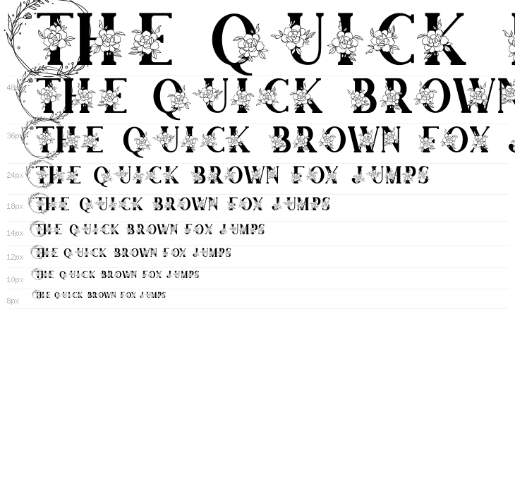 Adenium Monogram Waterfall