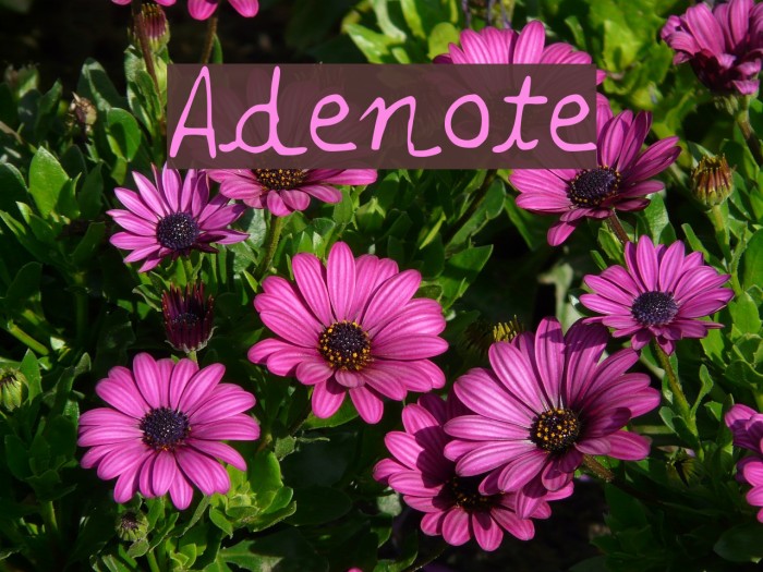 Adenote Font examples