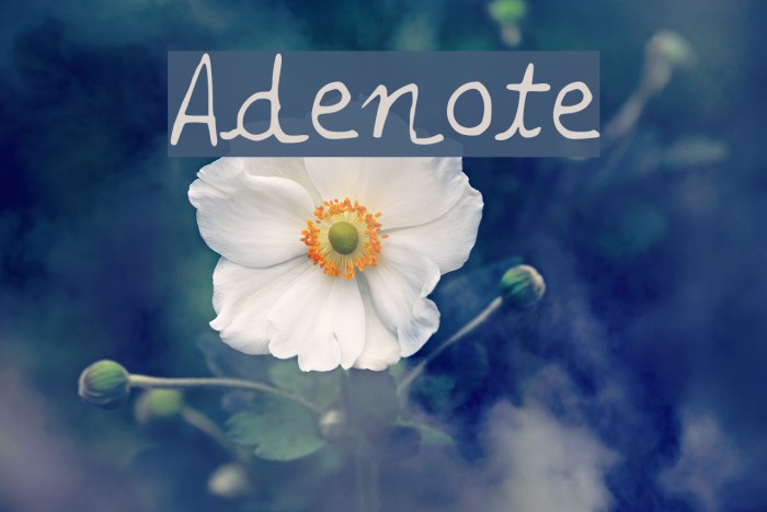 Adenote Font examples