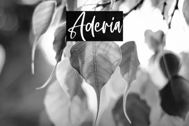 Aderia Font examples