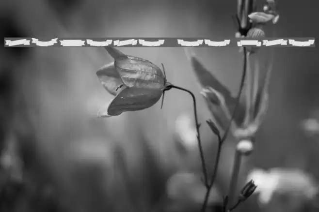 Adhesive Nr Seven Banners Font examples