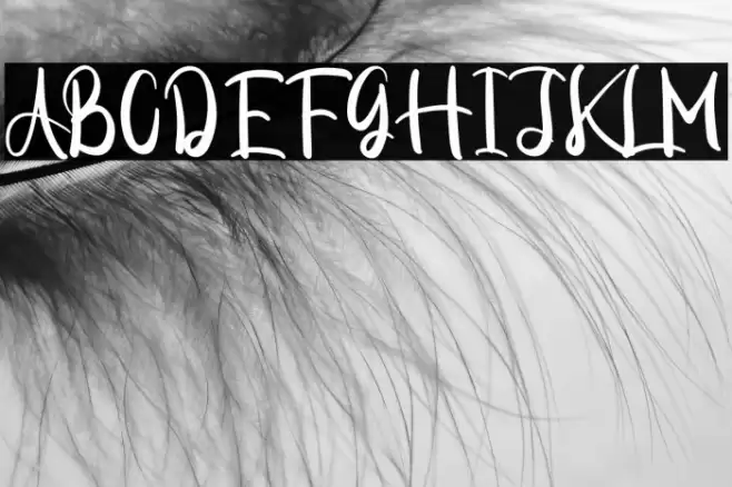 Adhotase Font examples