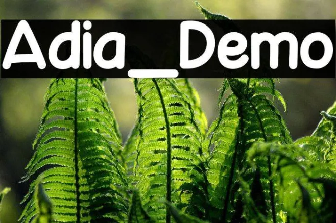 Adia_Demo Example 2