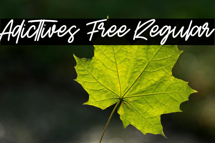 Adicttives Free Regular Example 2