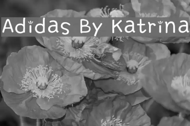 Adidas By Katrina Font examples