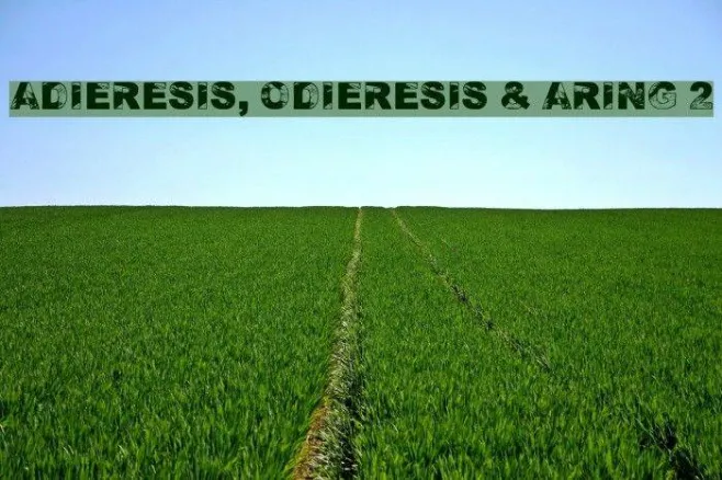 Adieresis, Odieresis & Aring 2 Example 3