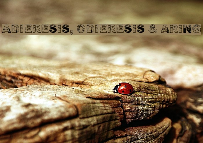 Adieresis, Odieresis & Aring Font examples