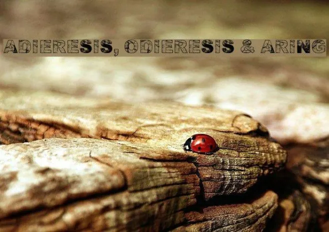 Adieresis, Odieresis & Aring Example 3