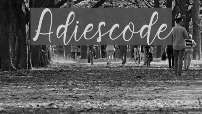 Adiescode Font examples