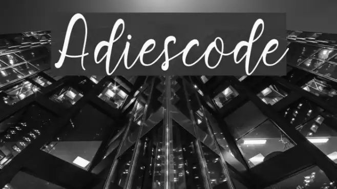 Adiescode Font examples