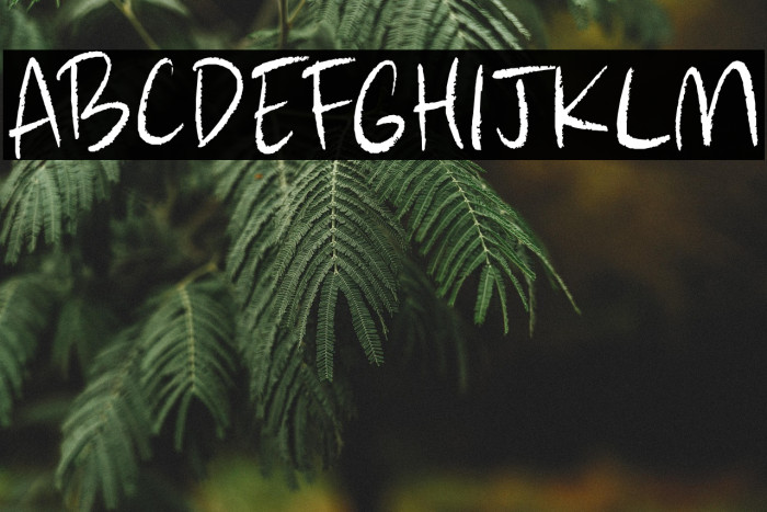 Adieu Mon Ami DEMO Regular Example 2