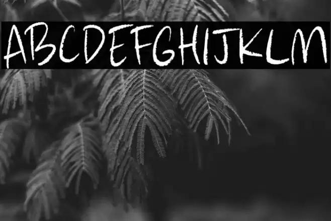 Adieu Mon Ami DEMO Regular Fuentes examples