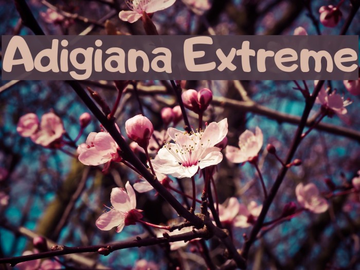 Adigiana Extreme Font