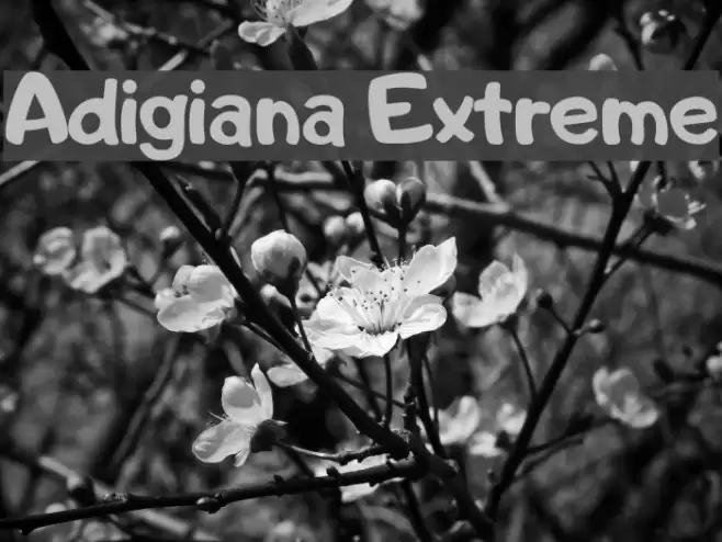 Adigiana Extreme Font examples