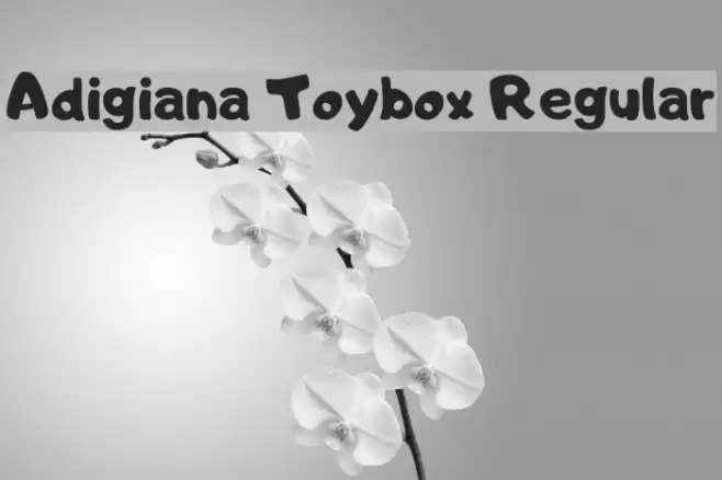 Adigiana Toybox Regular Font examples