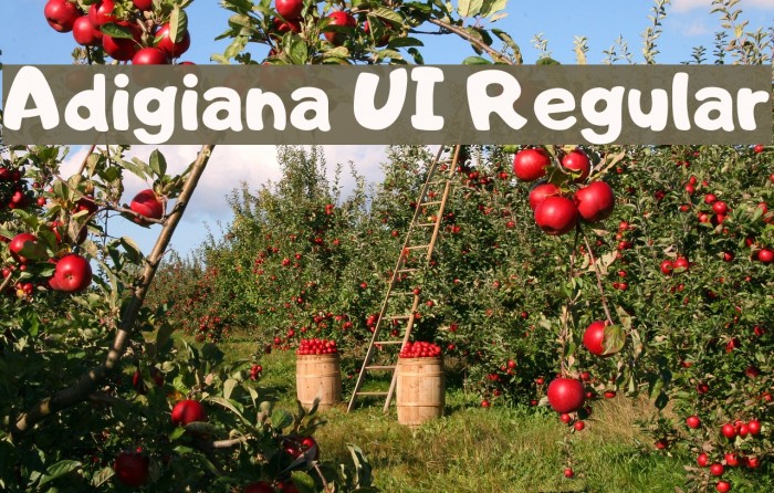 Adigiana UI Regular फ़ॉन्ट examples