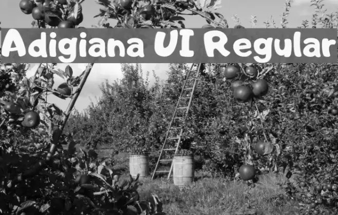 Adigiana UI Regular फ़ॉन्ट examples