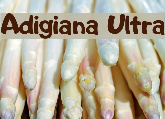 Adigiana Ultra Font