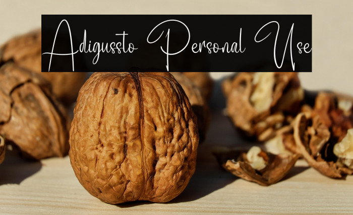 Adigussto Personal Use Example 1