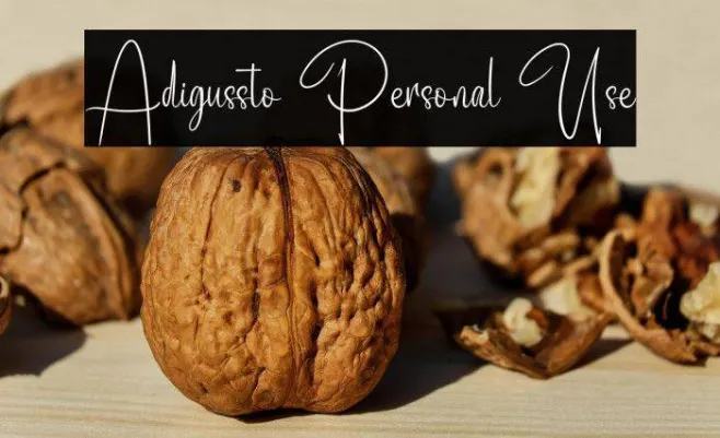 Adigussto Personal Use Example 1