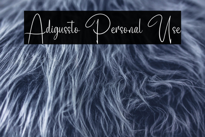 Adigussto Personal Use Example 2