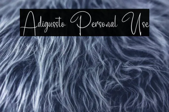 Adigussto Personal Use Example 2