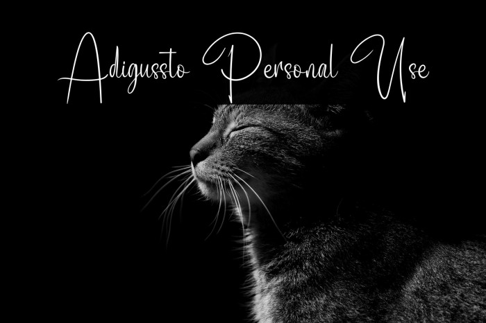 Adigussto Personal Use Example 3