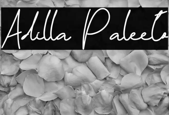Adilla Paleeto Font examples