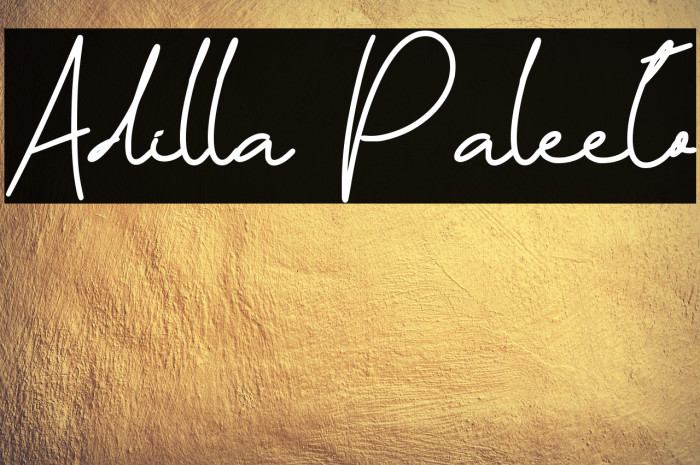 Adilla Paleeto Example 2