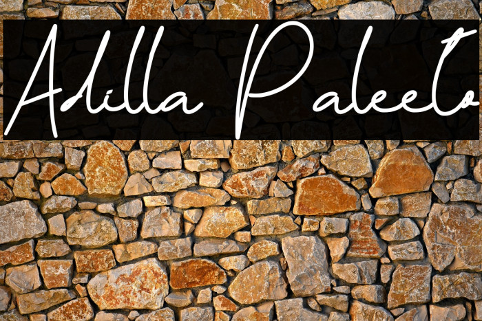 Adilla Paleeto Example 3