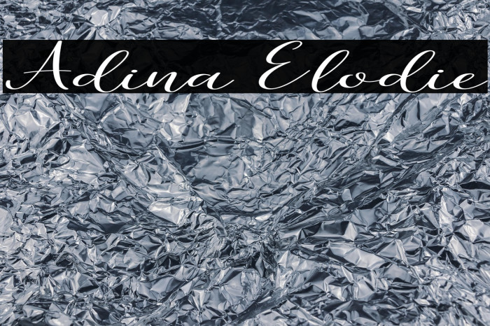 Adina Elodie Example 1