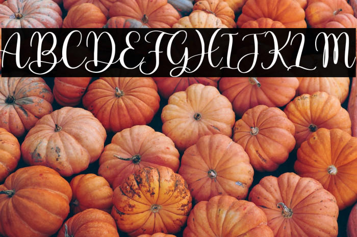 Adinda Sayang Example 1