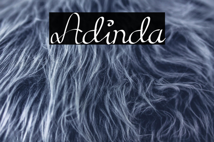 Adinda Example 1