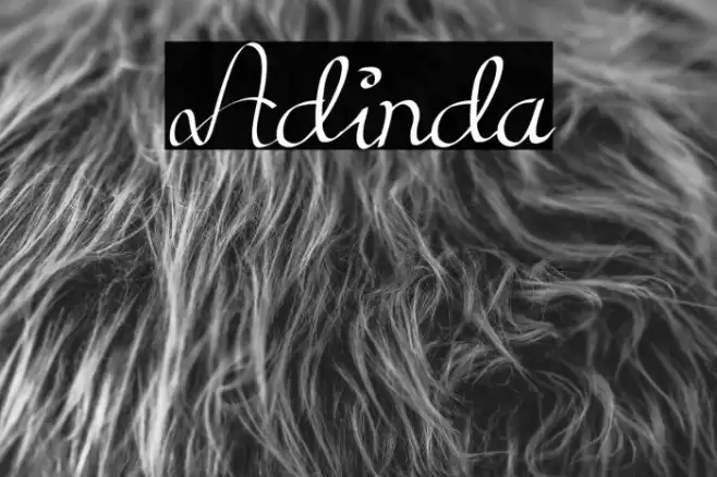 Adinda Font examples