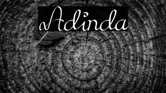 Adinda Font examples
