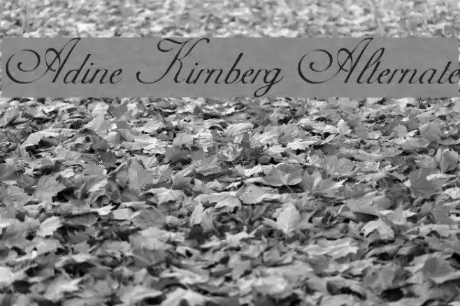 Adine Kirnberg Alternate Font examples